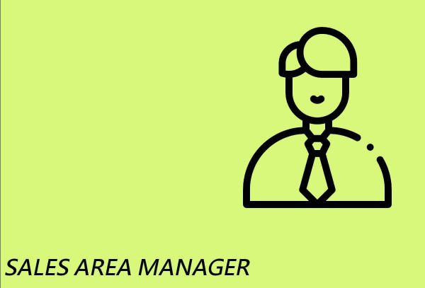 Chi siamo timeline csales area manager EN