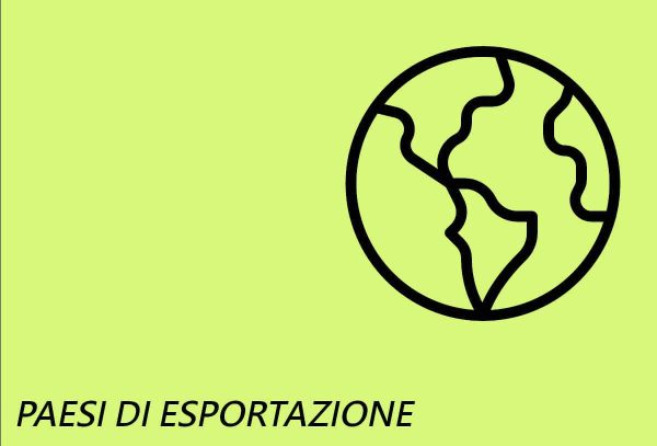 Chi siamo timeline paesi