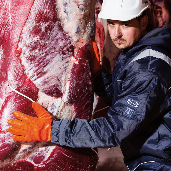 Hundimiento frío Preservativo Guantes de Protección contra el frío - Sir Safety System